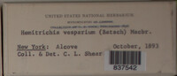 Image Associated With the Occurence